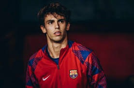 拒绝联手科比，当湖人的顶薪合同摆在面前：诺维茨基为何选择了打折留下？