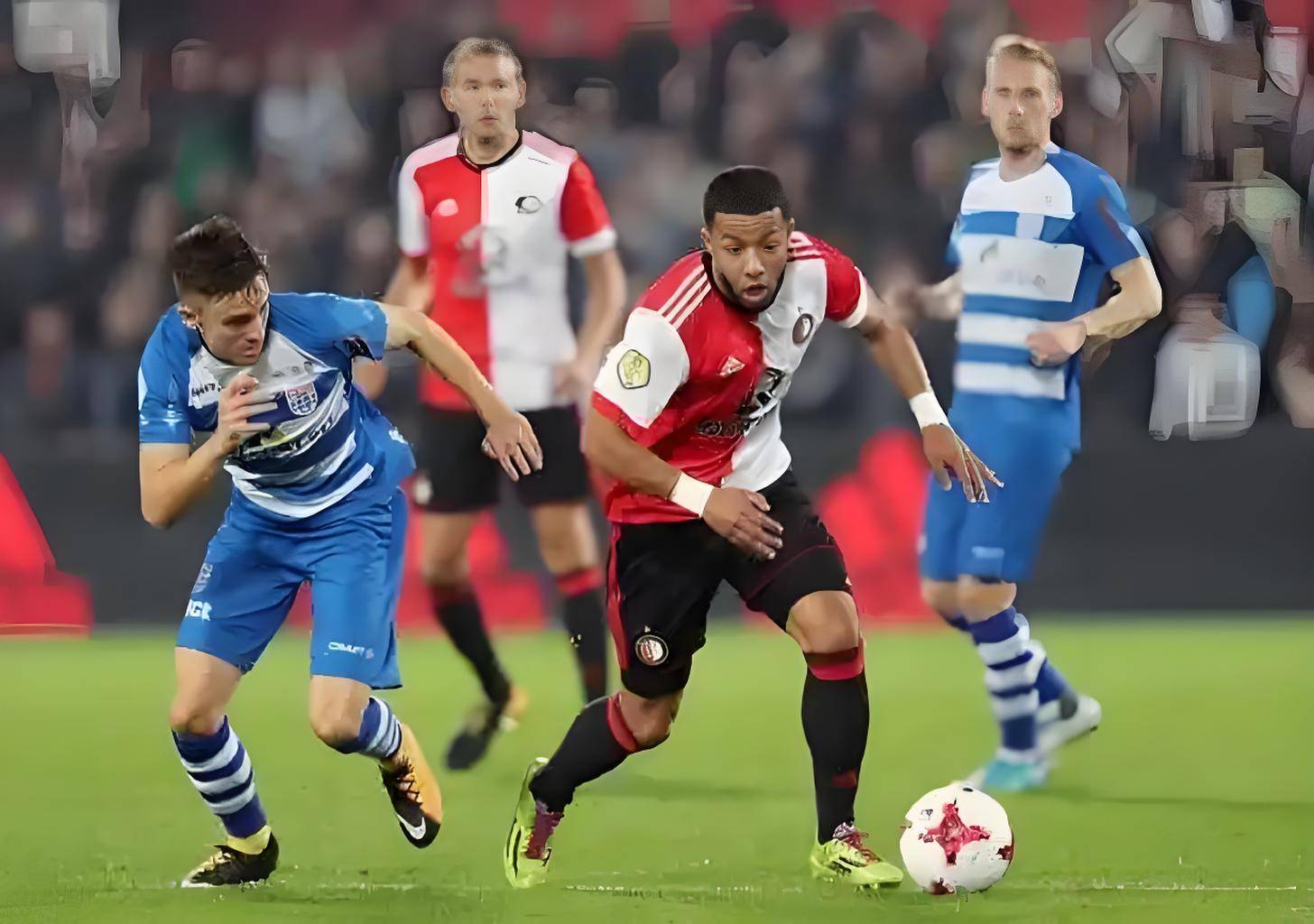 命性变化 命性变化